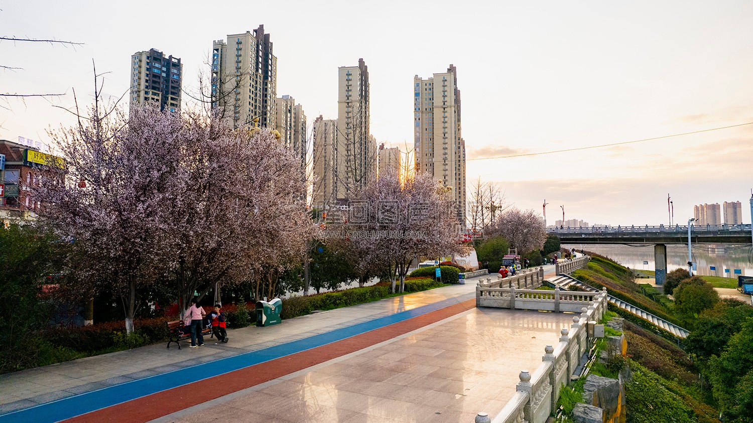 樱花树下的市民