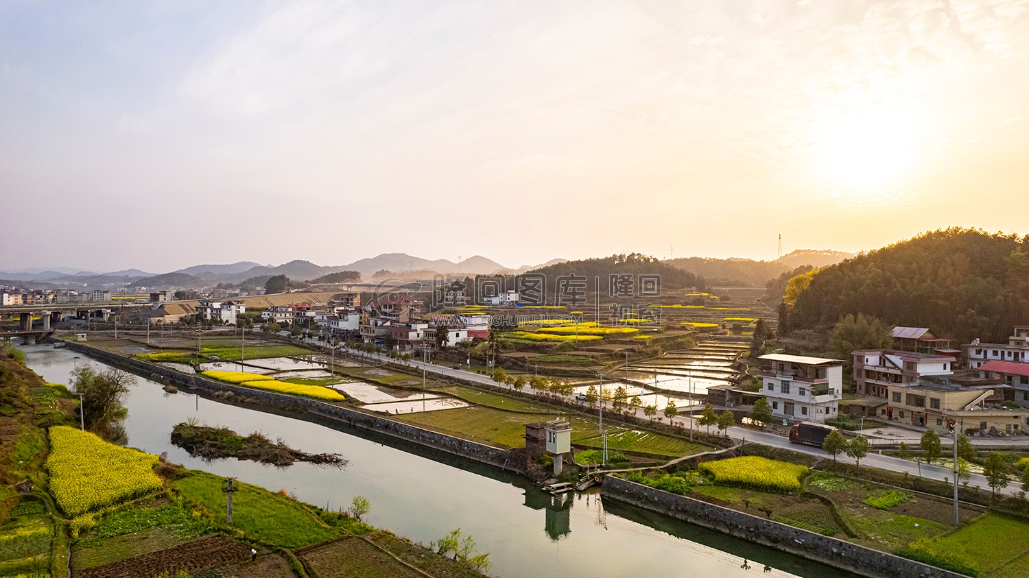 优先村的油菜花开了