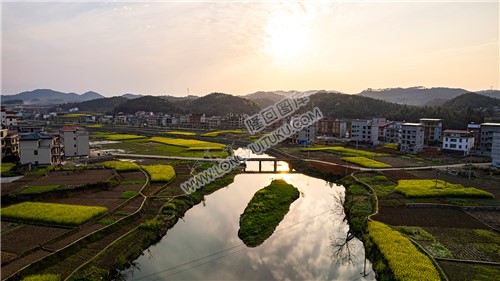 杨家桥河面风光