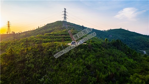 罗家大岭山头日出