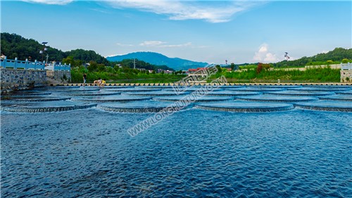 羊古坳的鱼鳞坝