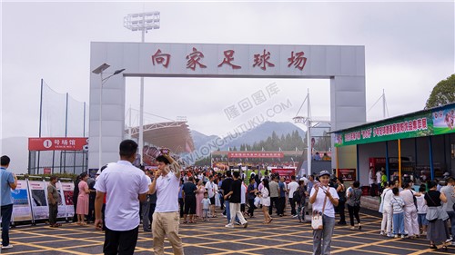 向家足球场