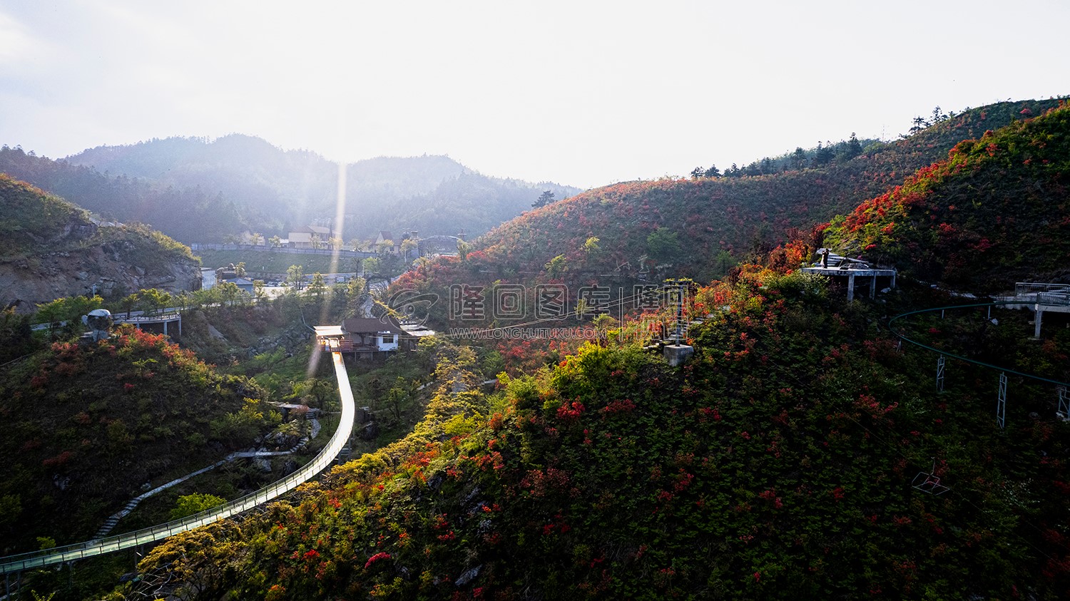 玻璃滑道旁的杜鹃花