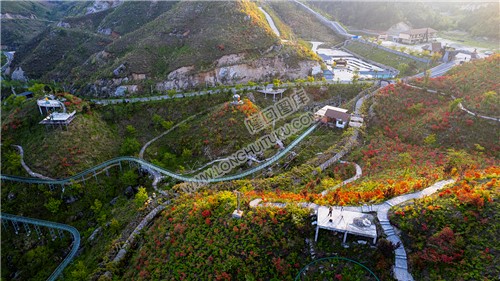 山坡上的杜鹃花