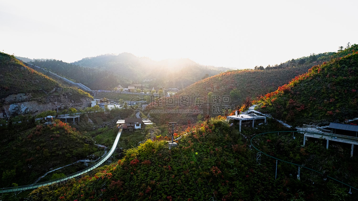 龙瑶幽谷杜鹃花