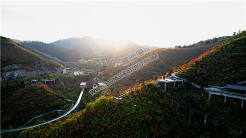 龙瑶幽谷杜鹃花