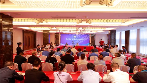 杨韶辉出席隆回矿业协会座谈会