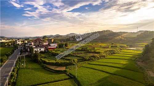 油铺里刘家塘田园风光