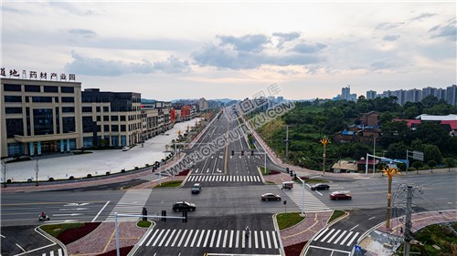 环城南路道地药材路口