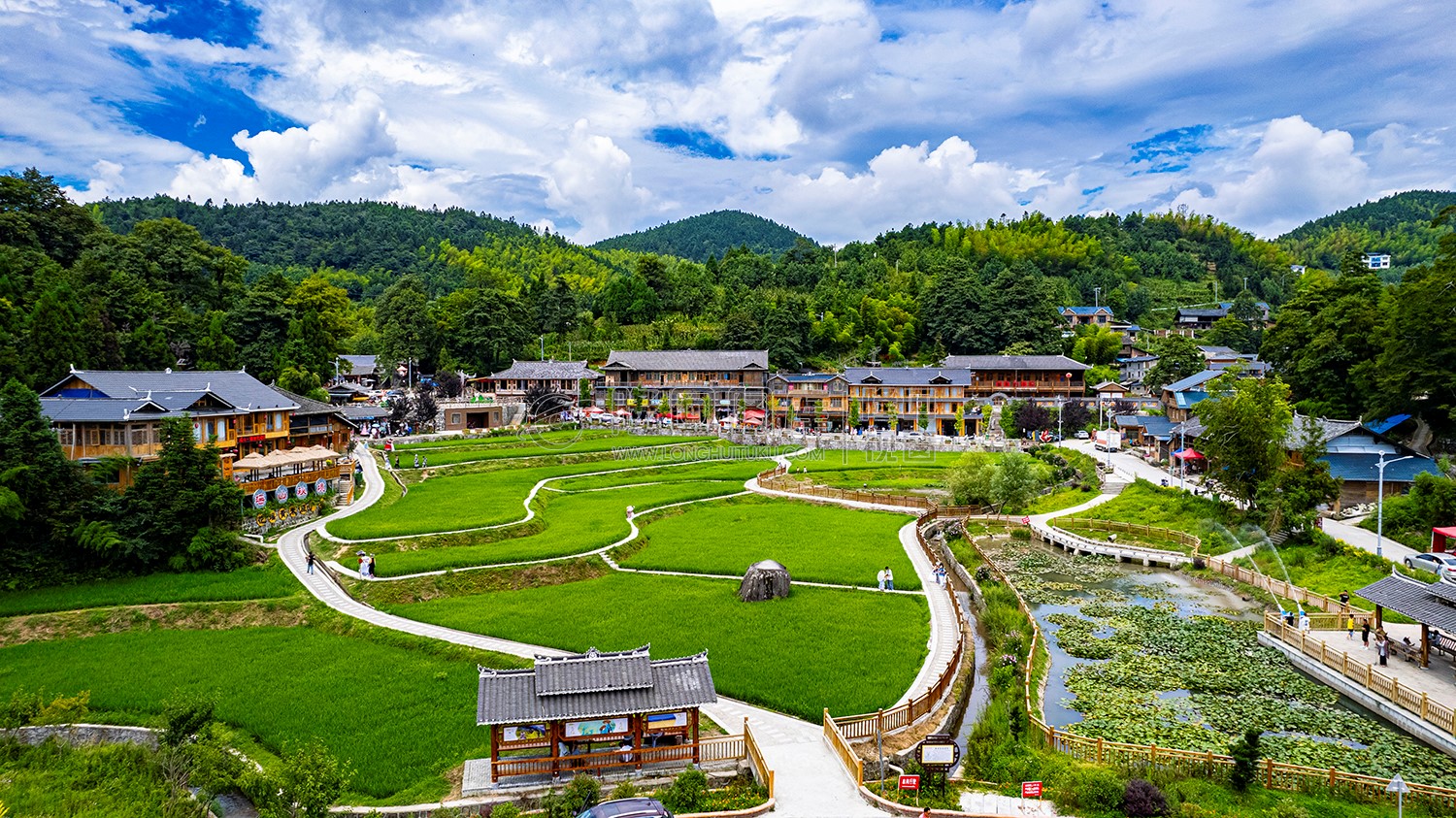 崇木凼稻田风光