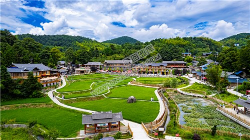 崇木凼稻田风光