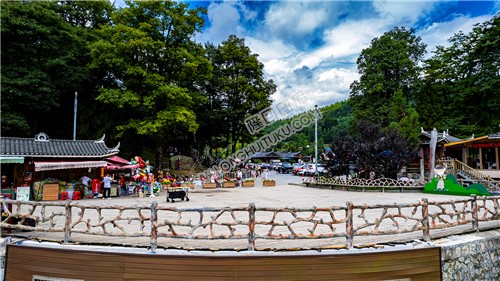 崇木凼古树林观景台