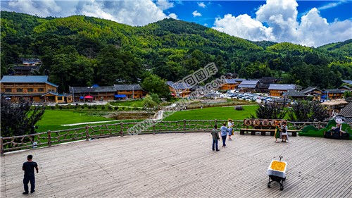 崇木凼古树林观景台