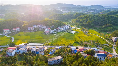 楠树坪 谢家村落