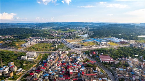 紫阳村道地药材产业园方向