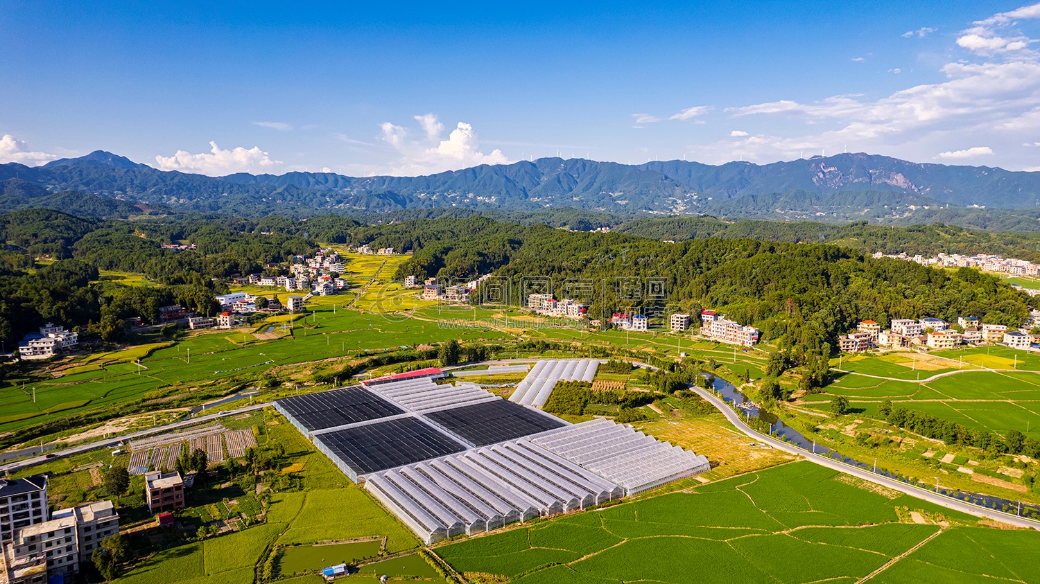 高平镇大棚种植基地