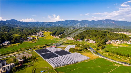 高平镇大棚种植基地