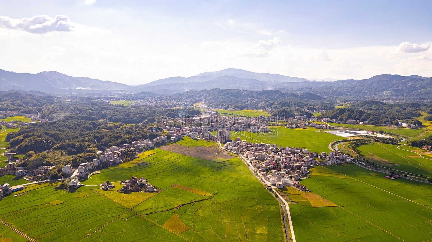 高平镇千亩沃土