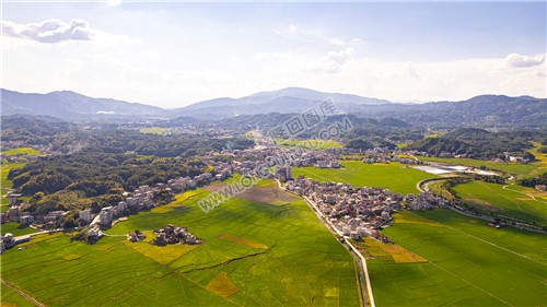 高平镇千亩沃土