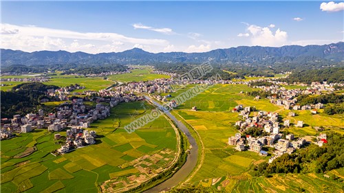高平镇田园风光