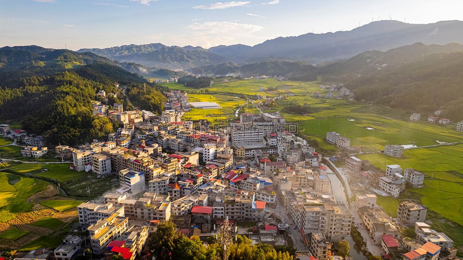 罗洪镇的秋收稻田风光