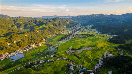 上罗洪村田园风光