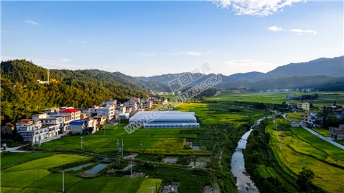 邹汉勋故居前田园风光