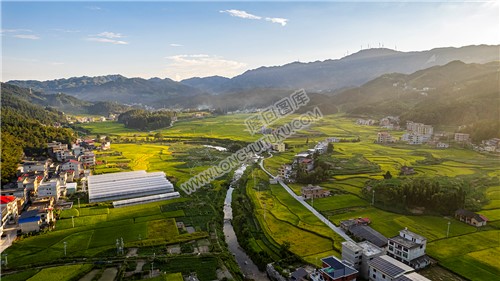 邹汉勋故居前田园风光