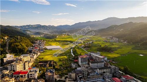 邹汉勋故居乡村稻田