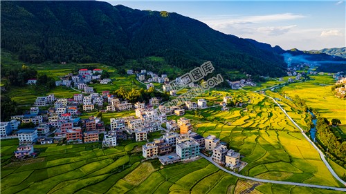 洞塘村乡村日落稻田美景