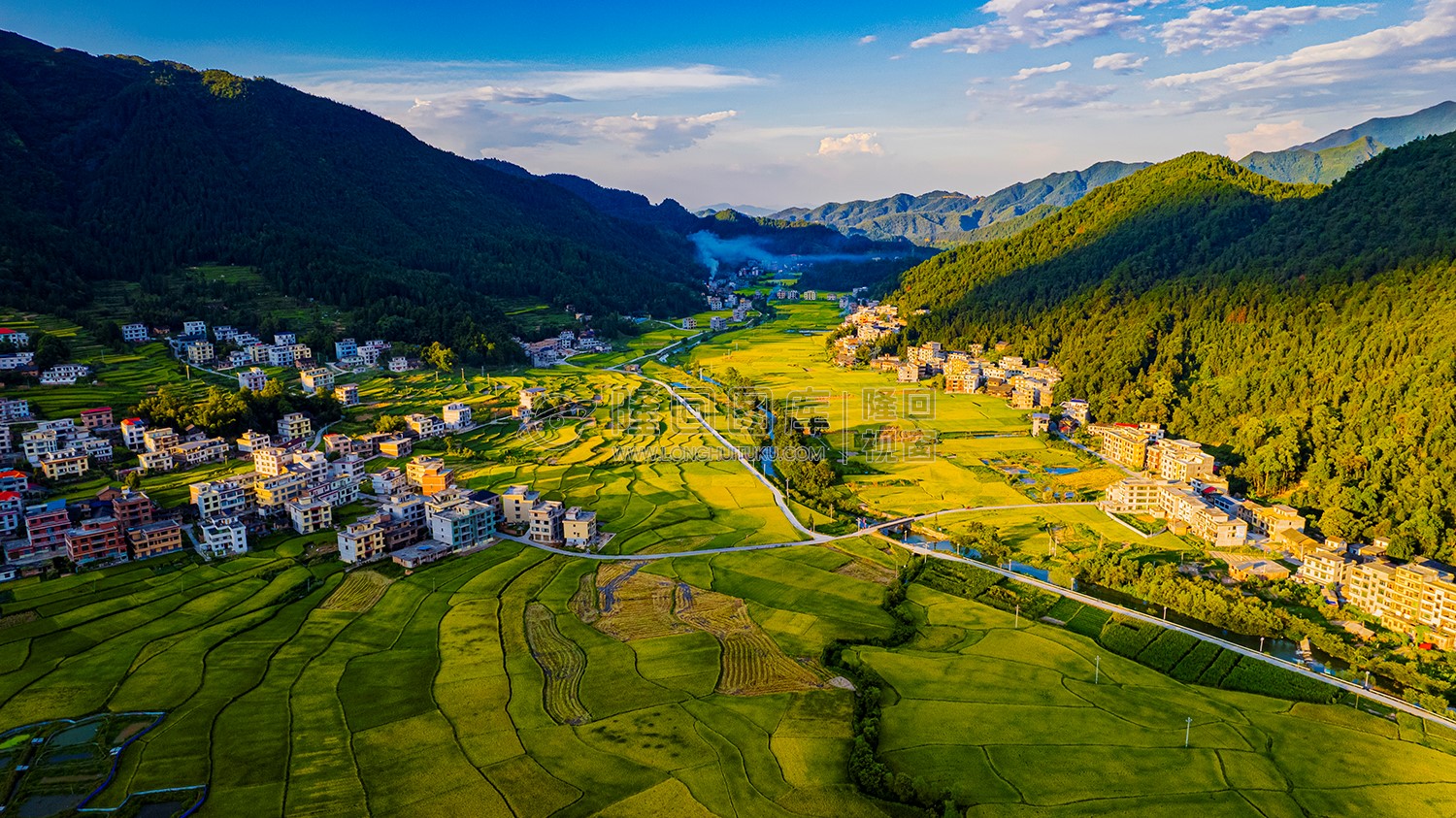 罗洪镇的秋收稻田风光