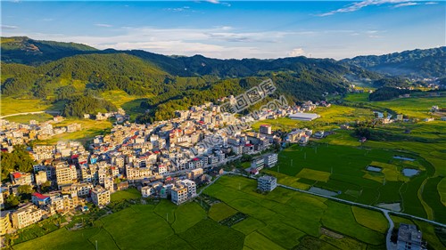 罗洪镇的秋收稻田风光