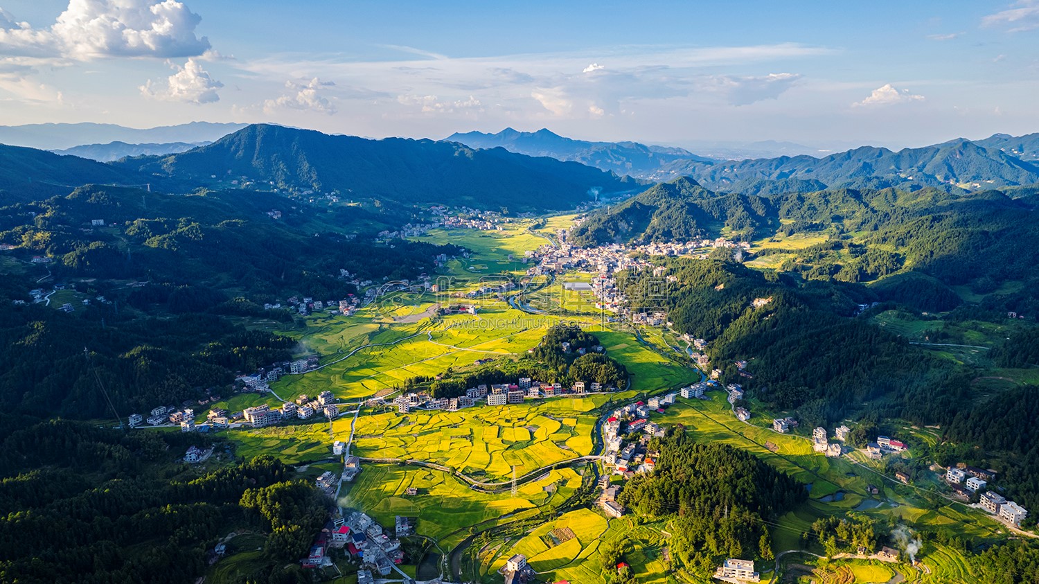 航拍罗洪镇金色稻田秋收风光