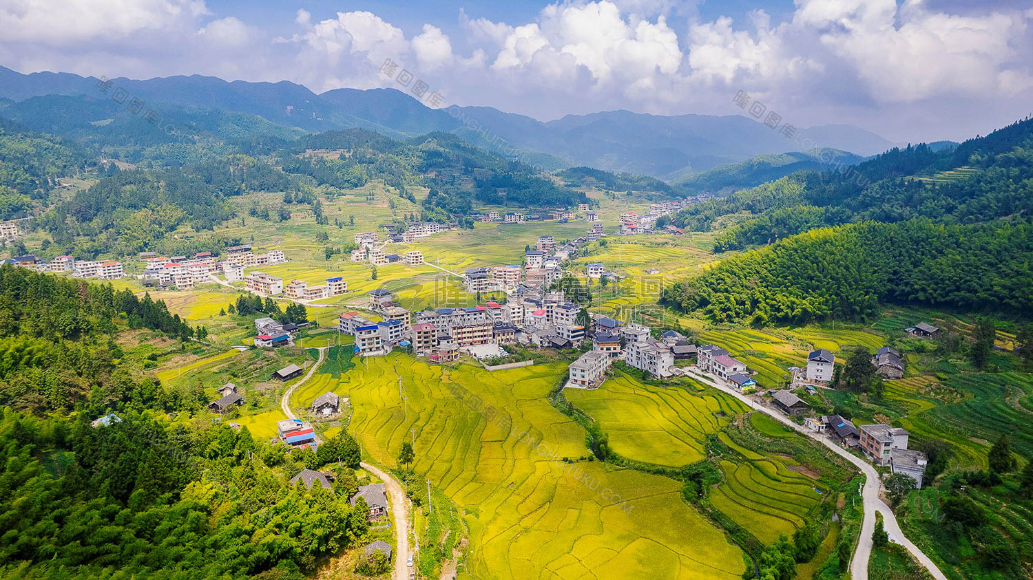 中银村乡村风光