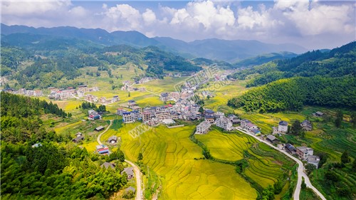 中银村乡村风光