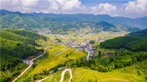 冷溪山中银村的乡村田园风光