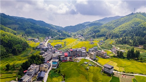 中银村学校所在村落