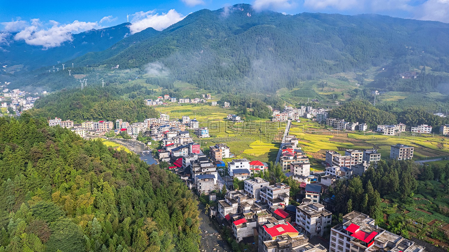黄金井的秋收稻田风光