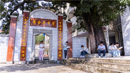 黄金井中学百年古树下的学习