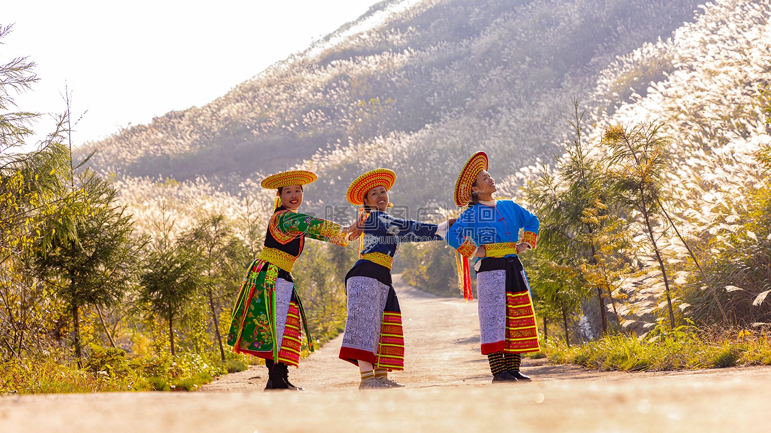 龙瑶幽谷的花瑶姑娘