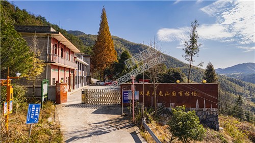 九龙山林场