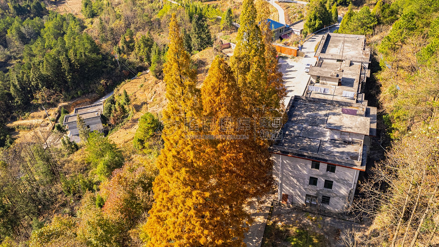 九龙山林场航拍