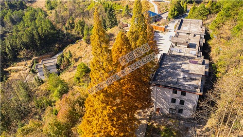 九龙山林场航拍