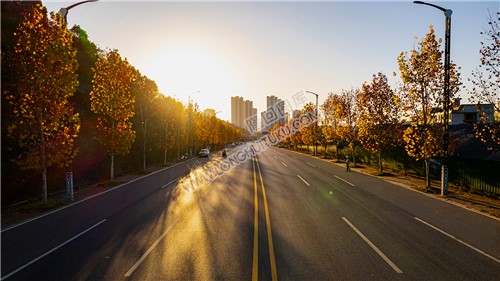 环城北路的枫叶黄了