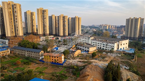 老房子与高楼大厦