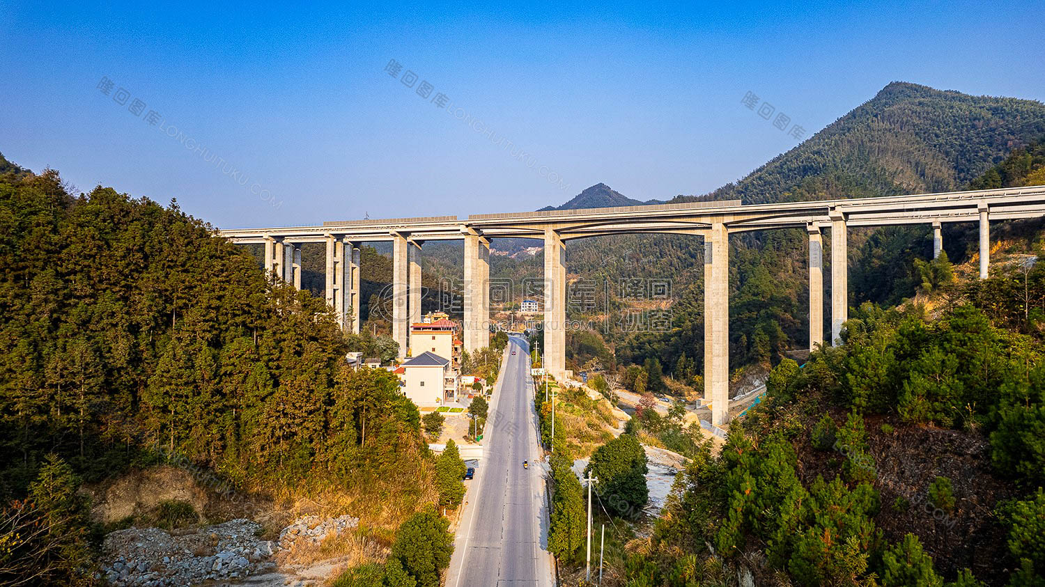 新新高速高架桥下的S242省道