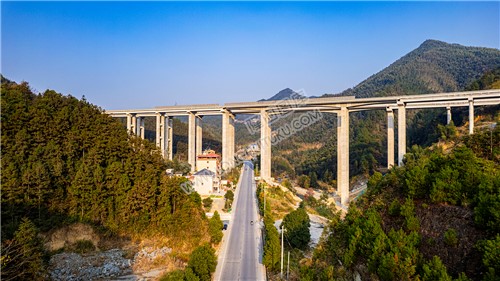 新新高速高架桥下的S242省道