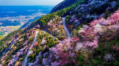 隆回五大名山，你爬了多少座?
