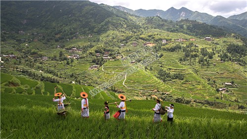 白水洞梯田上的花瑶人家