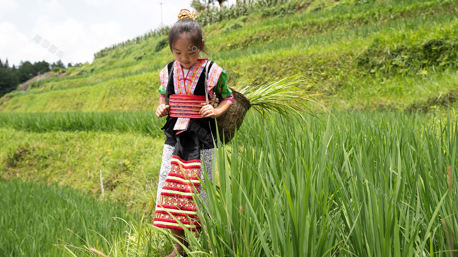 白水洞梯田上的花瑶人家